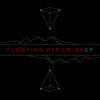 Run - Floating Pyramids&Sammi Constantine