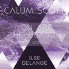 You Are The Reason (Duet Version) - Calum Scott&Ilse Delange