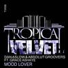 Mood Lover (Absolut Groovers Mix) - Dan Aslow&Absolut Groovers&Grace Ashaye