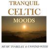 An Ending (Tranquil Mix) - The Cool Classical Collective