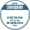 Set You Free (Original Mix) - Distance&Stepa