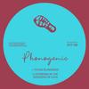 Phase Blindness - Phonogenic
