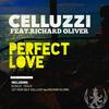 Perfect Love (Original Mix) - Celluzzi&Richard Oliver