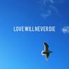 Love will Never Die - Anant