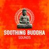 Paradigm - Buddha Sounds