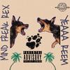 AFTER PARTY(feat. YEAAA REEM) (Explicit) - Mind Freak Rex&YEAAA REEM