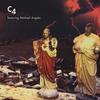 Gotta Run - Michael Angelo Batio
