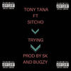 Trying (Explicit) - Tony Tana&Sitcho&Bugzy