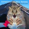 Remedy (Rise and Fall Remix) - Djiva&Esthetique