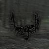 Forgotten - Akoge