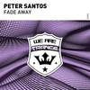 Fade Away (Original Mix) - Peter Santos
