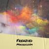 Frenzied Macrocosm - Rale Eser