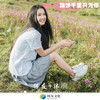 青海摇 - 何友&沐湳