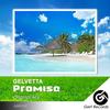 Promise (Original Mix) - Gelvetta