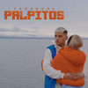 Pálpitos - Frozouda&Facundo Agustín Pelontri&Anselmo Castro