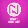 Wonderful (A Wonder Mix) - Inspiring Delight