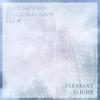 Pleasant Flight - Alex Savanin&Kirill Malahov and Jas