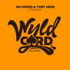 It's Deep (Dom Ryan Remix) - No Hopes&Toby Mess&Dom Ryan