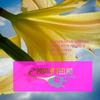 Seven Days (Club Mix) - Klum Baumgartner&Detroit 95 Project