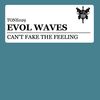 Can't Fake The Feeling - Evol Waves