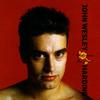 Affairs Of The Heart - John Wesley Harding