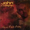Every Lesson Learned - John O'Callaghan