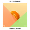 This Place Unknown - BIG Z&Jack Wilby