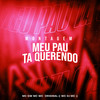 Montagem - Meu Pau Ta Querendo (Explicit) - Mc Wc Original&WC DJ MC&MC GW