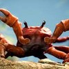 Crab Rave Remake (feat. Noisestorm) - Aiden Dodge&Noisestorm