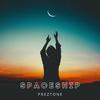 Spaceship (Radio Edit) - Preztone