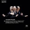 Variation 5, Vivace (Poco presto) - Jan Willem de Vriend&The Hague Philharmonic Orchestra