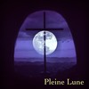 Rager la lune - Dec