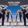 Elephant (Original Mix) - Alexsus&Seborge