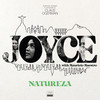 Mistérios - Joyce Moreno&Mauricio Maestro