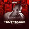 Teu Prazer - Rogaih&Alta Hits