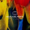 Aguila del monte (feat. Chanas) - Brøder&The Ware&Chanas