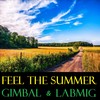 Feel the Summer VIP - Gimbal&Labmig
