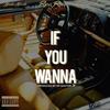 If You Wanna(feat. NieKo Nicole & Grapesoda Henderson) (Explicit) - Ricc Rocc&Nieko Nicole&Grapesoda Henderson