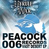 Imagination (Original Mix) - Dr. Peacock&Hyrule War