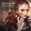 Back to Yesterday (Bluespark Remix) - Chris Vandevelde&Bluespark