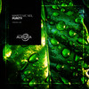 Purity (Original Mix) - Marco Mc Neil