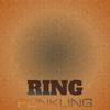 Rhythmical Debris - Dilip Orak