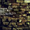 Broken Wall (Lowerzone Remix) - Predator Tekno