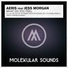 What Do You Feel? (Jonas Hornblad Remix) - Aeris&Jess Morgan