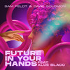Future In Your Hands (feat. Aloe Blacc) - Sam Feldt&David Solomon&Aloe Blacc