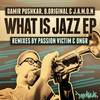 What Is Jazz (Original Mix) - Damir Pushkar&B.Original&J.A.M.O.N.