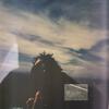 sunburn - Niko Rose