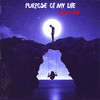 Purpose of my life - Peter Wise