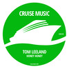 Honey Honey (Radio Edit) - Tom Leeland