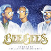 How Can You Mend A Broken Heart - Bee Gees